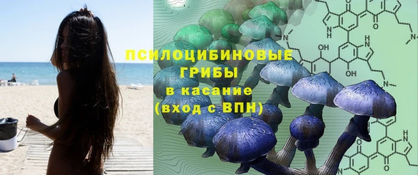 каннабис Богородицк